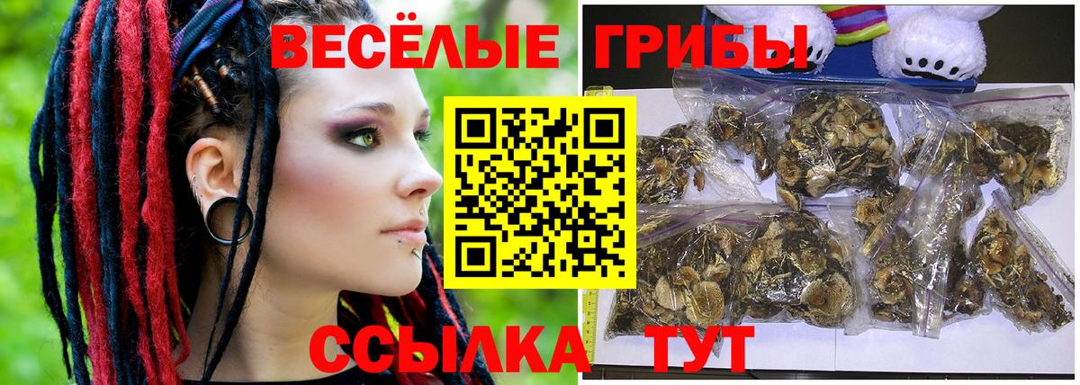 Псилоцибиновые грибы мицелий  Вход с VPN  Псилоцибиновые грибы Cubensis  Домодедово 
